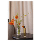 Bottle of Abel RoomSpray Scene3