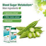 Bell Blood Sugar Metabolism™ Main Ingredients