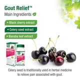 Bell Gout Relief™ Main Ingredients