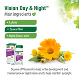 Bell Vision Day & Night™ Main Ingredients
