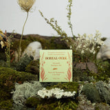 Boreal Folk Horsetail Shampoo Bar Lifestyle