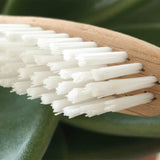 Brush With Bamboo Adult Toothbrush Bristles