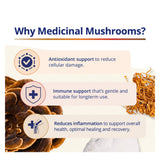 CanPrev Cordyceps Medicinal Mushrooms