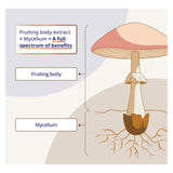 CanPrev Cordyceps Mushrooms Parts