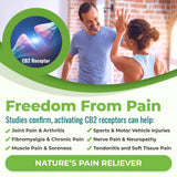 Cannanda CB2 Hemp Seed Oil Unflavoured Information - Pain