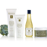Eminence StoneCrop BodyCollection GroupPhoto