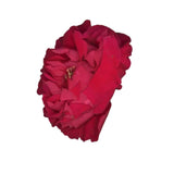 Monastery Gentle Retinol Cream REI Ingredient - Rose