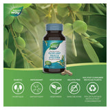 Bottle of Nature's Way Olive Leaf Information 2