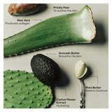 SIDIA Wired: the Body Exfoliant Ingredients