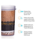 Santevia Fluoride Filter Information