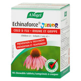 Box of A. Vogel Echinaforce Junior 90 Tablets