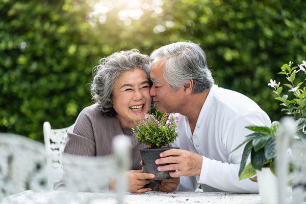 3 Foundational Pillars of Aging