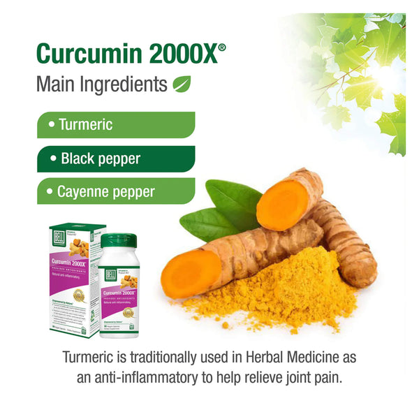 Bell Curcumin 2000X® Main Ingredients
