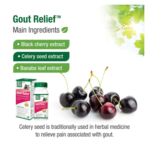 Bell Gout Relief™ Main Ingredients
