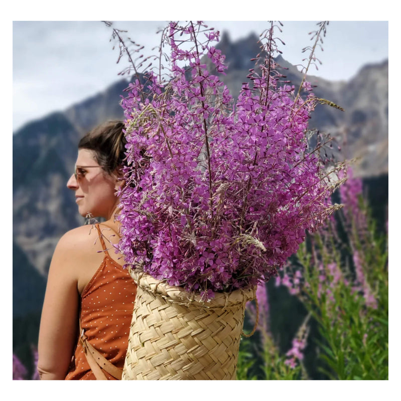 Boreal Folk Fireweed Face Oil Ingredient - Fireweed
