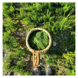 Boreal Folk Horsetail Conditioner Bar Ingredient - Horsetail 
