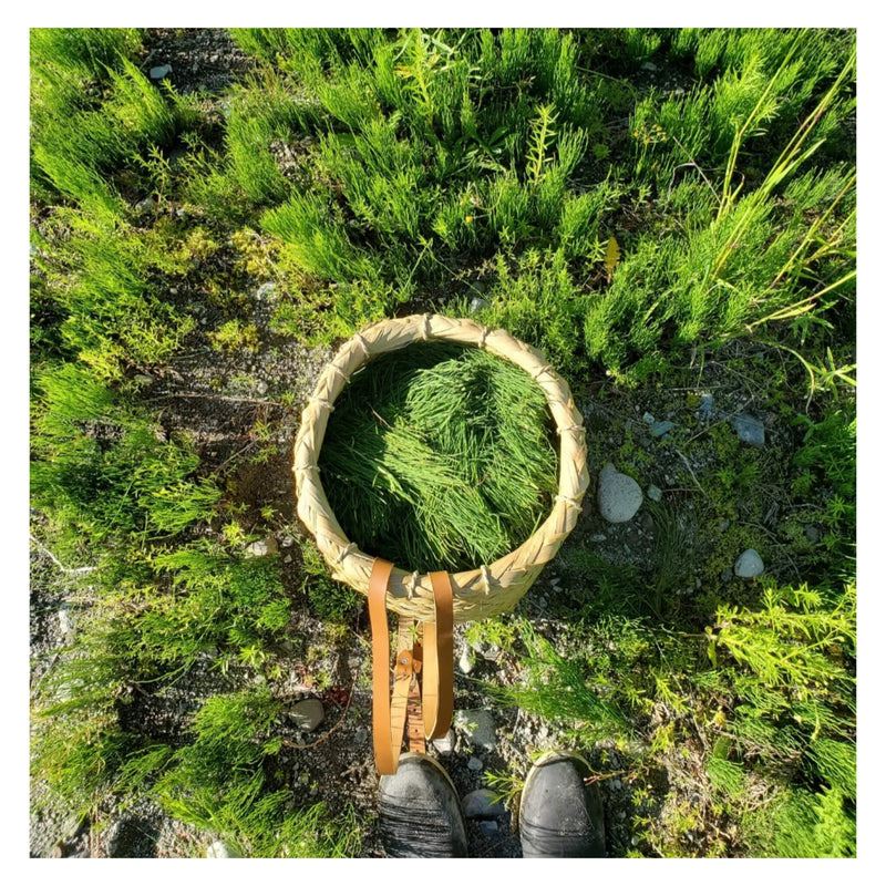 Boreal Folk Horsetail Conditioner Bar Ingredient - Horsetail 
