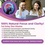 Cannanda High Achievers™ Focus - Use
