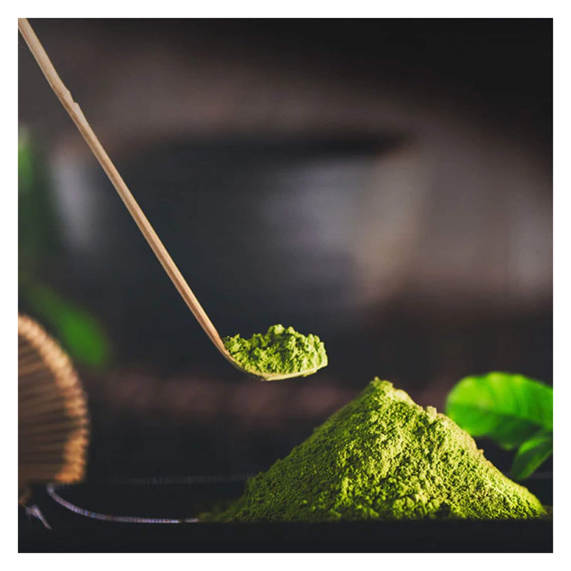 DōMatcha® Chashaku - Bamboo Scoop - Scooping Matcha 

