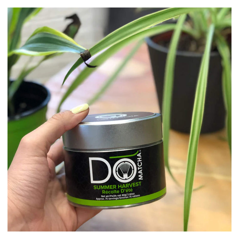 DōMatcha® - Summer Harvest Lifestyle - Tin

