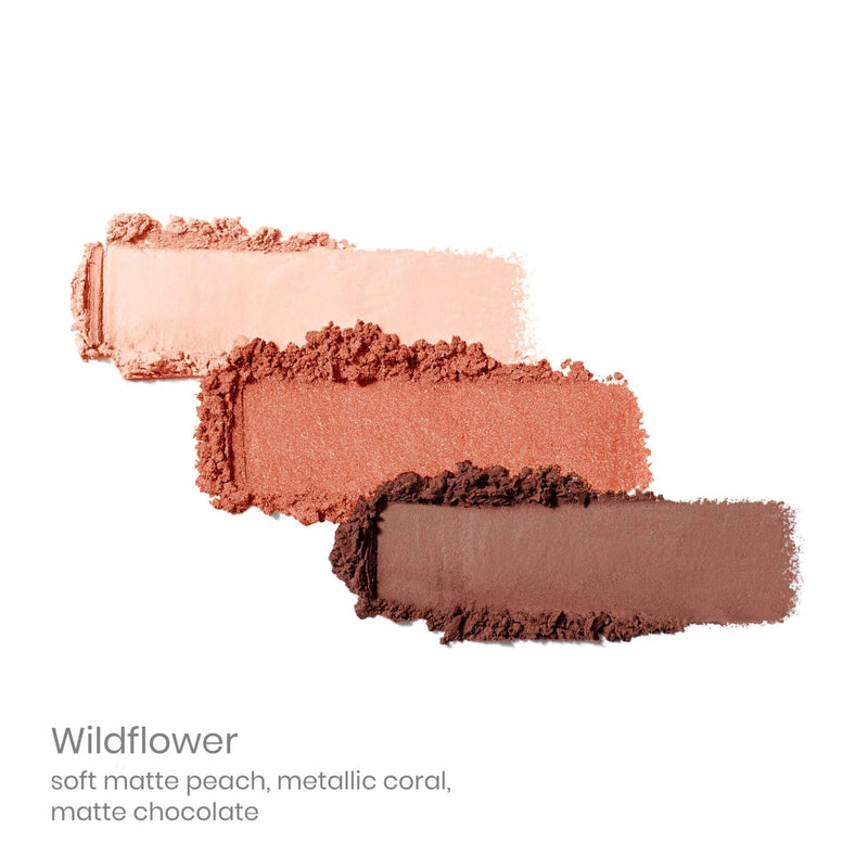 Swatch of Jane Iredale PurePressed Eyeshadow Trio Wildflower
