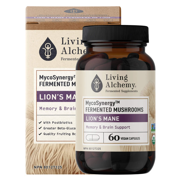 Box & Bottle of Living Alchemy MycoSynergy Fermented Mushrooms - Lion's Mane 60 Vegan Capsules
