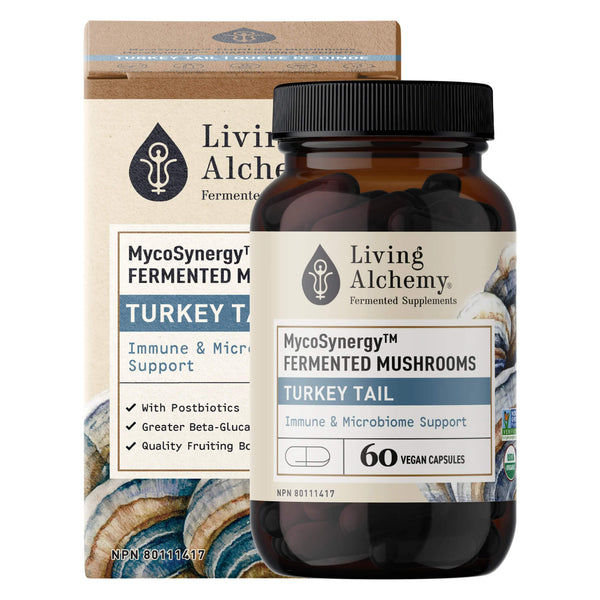 Bottle & Box of Living Alchemy MycoSynergy Fermented Mushrooms - Turkey Tail 60 Vegan Capsules

