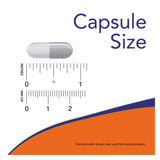 NOW B-50 Complex Capsule Size
