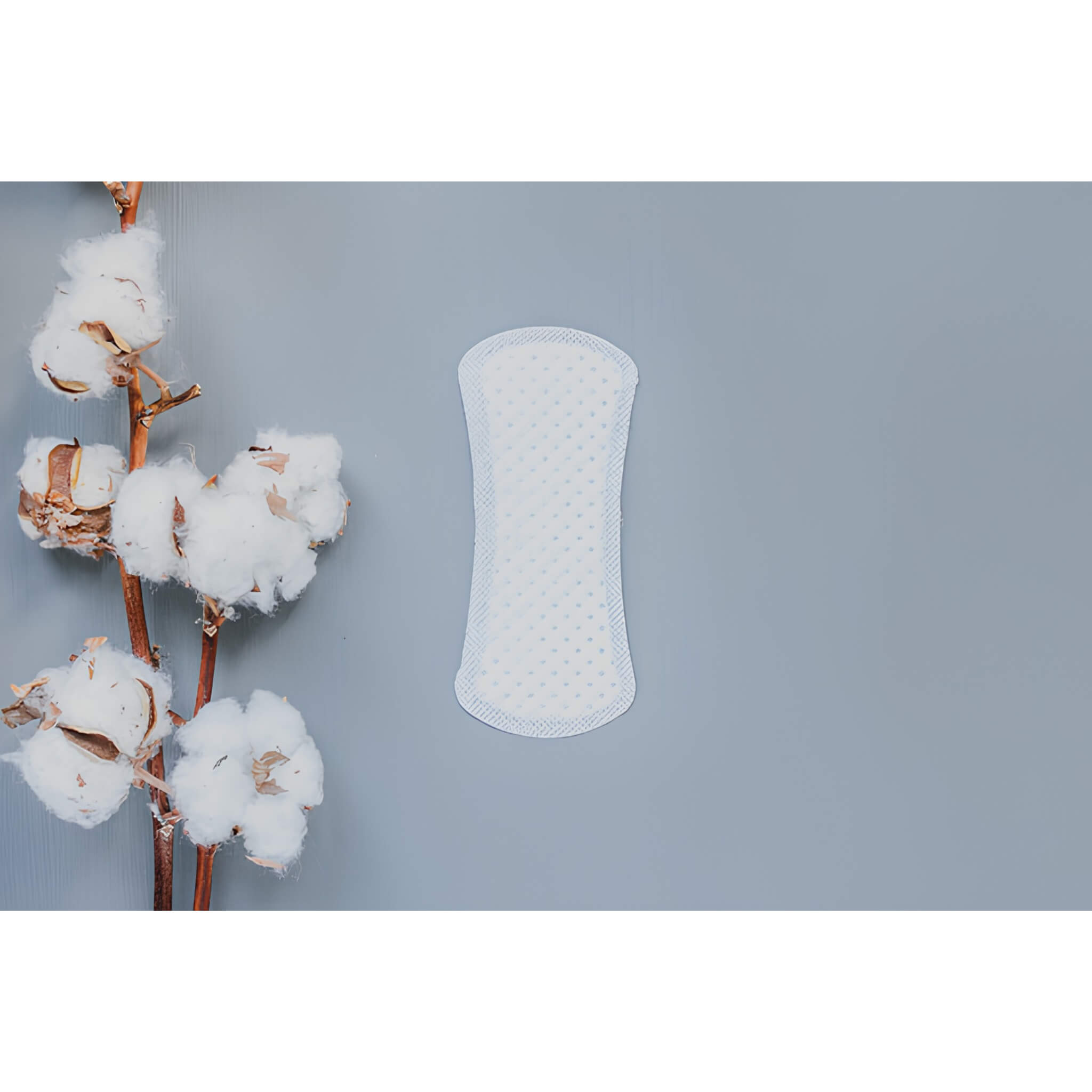 Optimum Health | Natracare - Curved Panty Liners