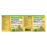Natural Factors Big Friends Healthy Mom Prenatal Multi Label
