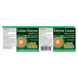 Natural Factors Lactase Enzymes Label

