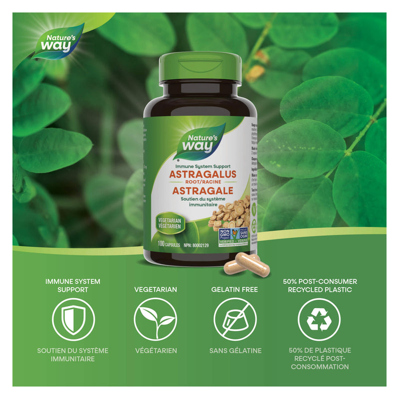 Nature's Way Astragalus Root Information
