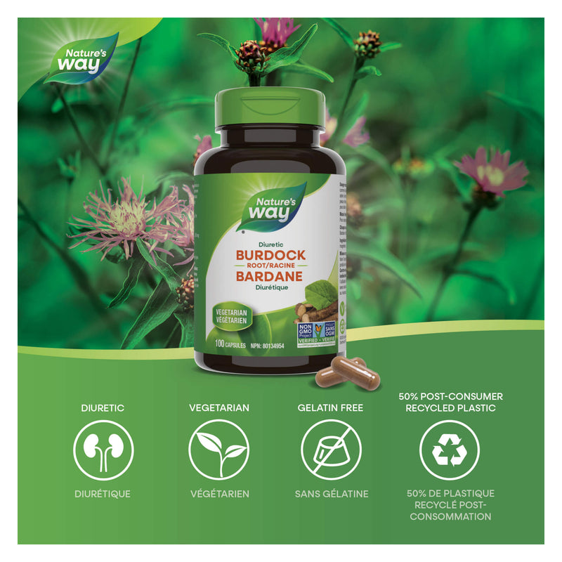 Nature's Way Burdock Root Information
