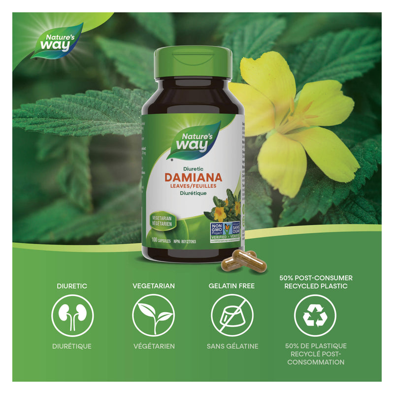 Bottle of Nature's Way Damiana Leaves Information 
