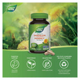 Nature's Way Dandelion Root Information 

