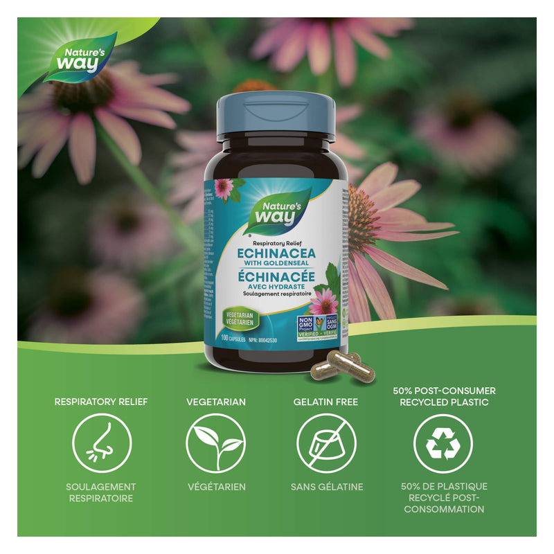 Nature's Way Echinacea Goldenseal Information 
