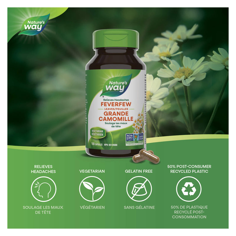 Bottle of Nature's Way Feverfew Leaves Information 
