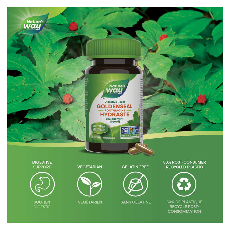 Nature's Way Goldenseal Root Information 
