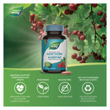 Nature's Way Hawthorn Standardized Extract Information 
