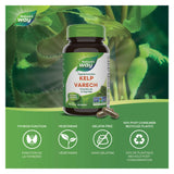 Nature's Way Kelp Information 
