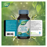 Nature's Way Olive Leaf Information
