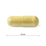 Progressive Multi for Active Women - Capsule
