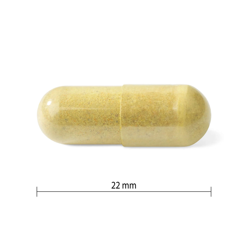 Progressive Multi for Active Women - Capsule

