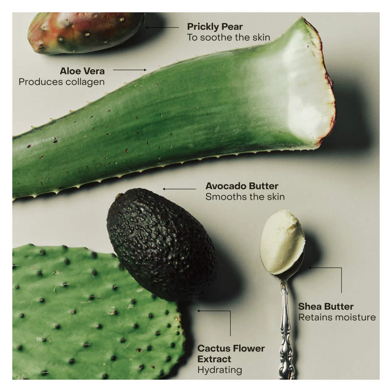 SIDIA Soaked: the Cream Ingredients

