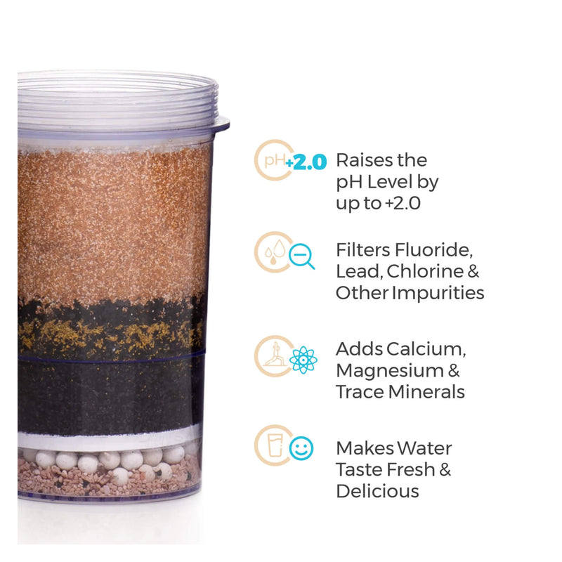 Santevia Fluoride Filter Information
