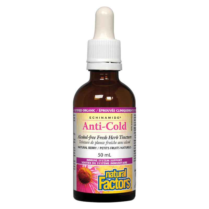 Dropper Bottle of Natural Factors Echinamide® Anti-Cold Alcohol-Free Herb Tincture (Natural Berry) 50 Milliliters
